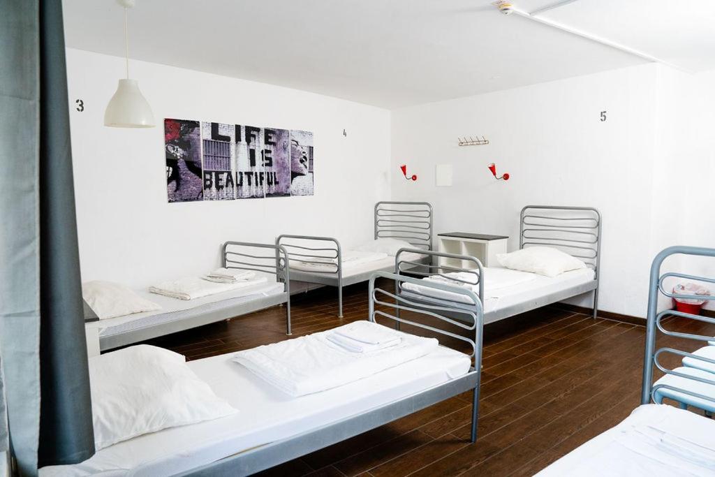 Single Bed mixed 5 Bed Dormitory Room