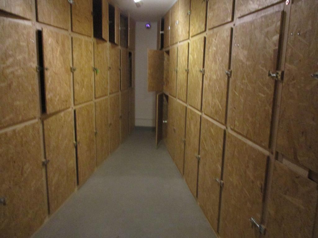 Single Bed Mixed 6-Bed Dormitory Room