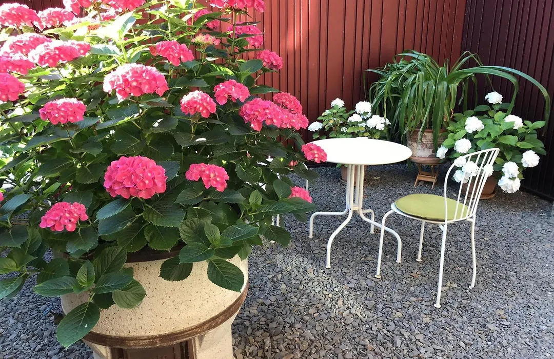 Alte Schreinerei Boutique Hotel-1
