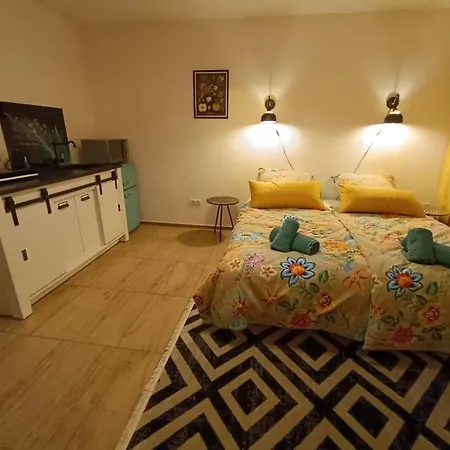 Gemütliche Kölsche Studio-Wohnung-2