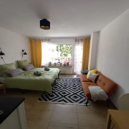Gemütliche Kölsche Studio-Wohnung-3