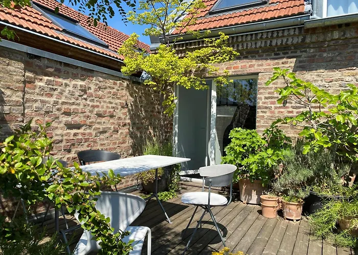 Zehuus Mit Domblick Und Dachterrasse