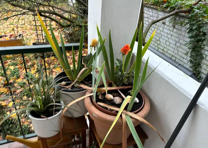 Köln Wohnung 4 min nähe von Hbf und Dom mit Garten ,Balkon&office, Deutschland